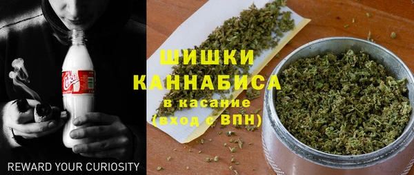 твердый Аркадак