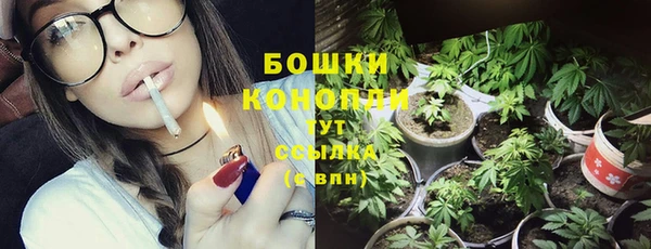 твердый Аркадак