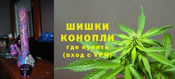 твердый Аркадак
