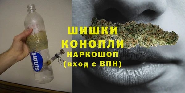 твердый Аркадак