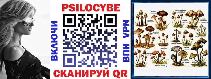 продажа наркотиков  OMG сайт  Галлюциногенные грибы Psilocybe  Ипатово 